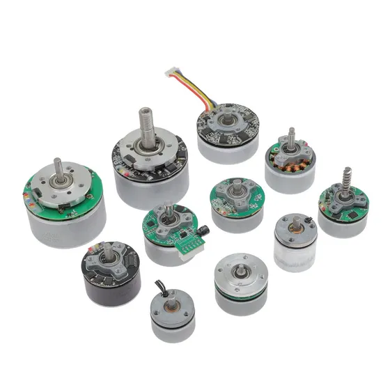 Guangdong OEM ODM Gear Motor 12V 24V 36V 48V Brushless Micro DC Motor