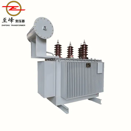 Advanced 10kv 800kVA Eco-Friendly Transformer for Industrial Applications