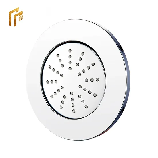 Chrome Shower Body Jet