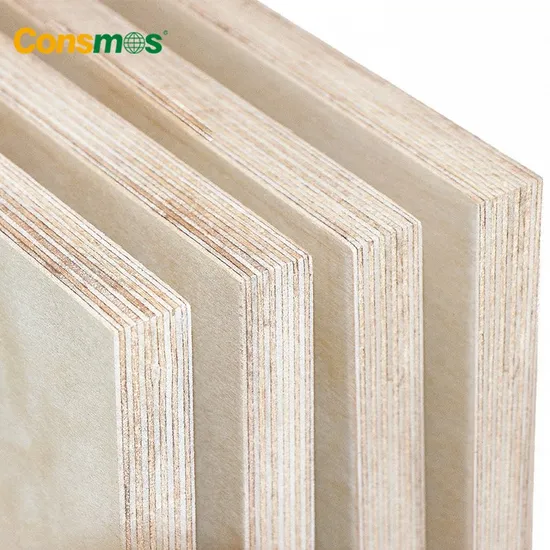 4X8 9mm 12mm 15mm 18mm B/B Full Birch Plywood Sheet