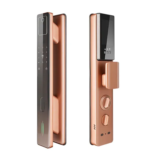 Gtd WiFi Smart Lock with Camera 3D Face Recognition and Fingerprint Function