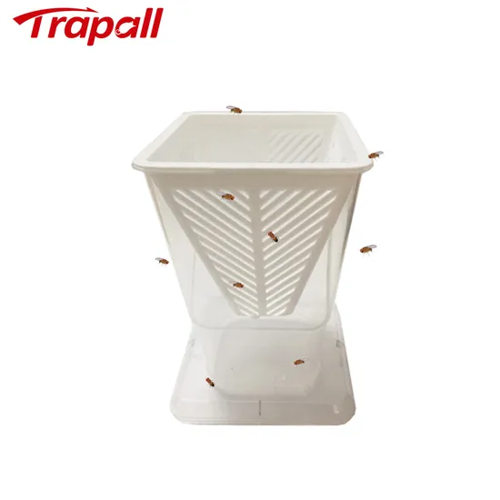 Reusable Plastic Insect Pest Control Bug Cather Fruit Fly Live Catch Trap