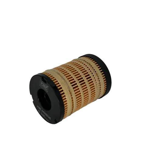 So10184, 5698036, 5053867, 569-8036, Fuel/Oil Filter for Auto Parts