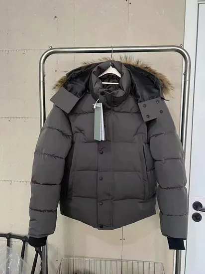 Winter Jacket Puffer Coat Mens Designer Down Parkas Bodywarmer Womens Cotton Luxury Windbreakers Couples Thickened Warm Coats