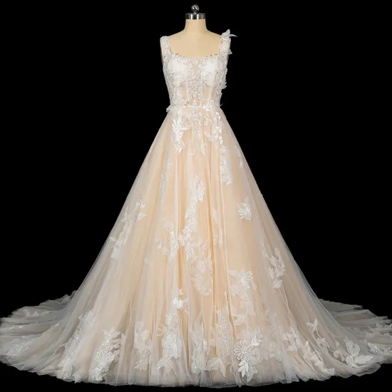 Champagne Soft Tulle Lace Applique Beading Bridal Wedding Dress with Tail