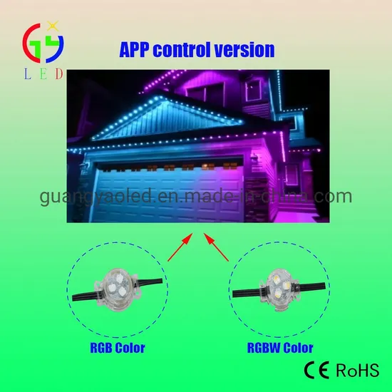 Newest LED Point RGB RGBW Chasing Color Holiday Permanent Lights