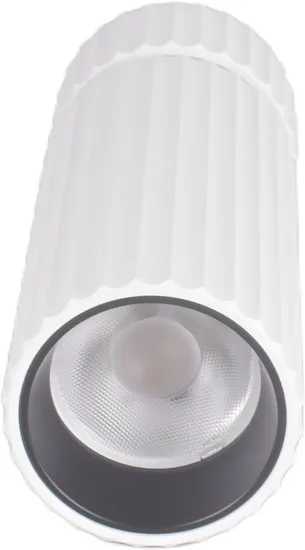 Modern 12W Adjustable Brightness Ceiling Light for Home