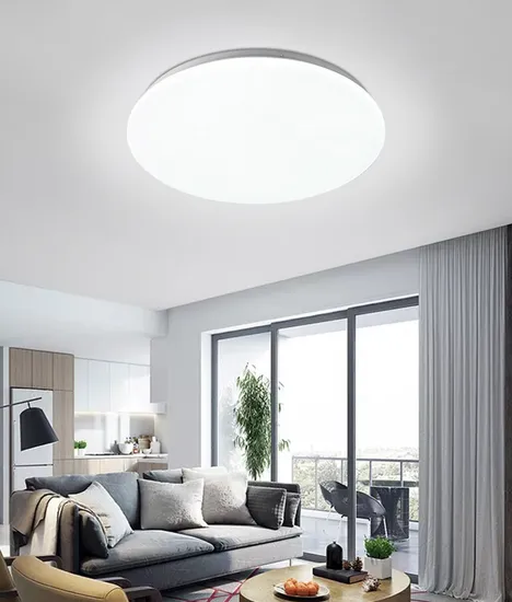 Best Price 24W Round Panel LED Ceiling Lamp with Sensor