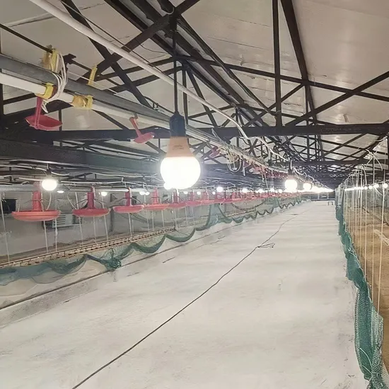 Agrieso Chicken Farm Equipment Layers Waterproof LED Dimmable Bulb for 3000K