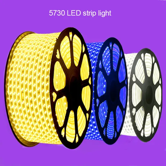 High Voltage Outdoor Waterproof 220V SMD 5730 Warm White Color RGB LED Strip Light 100m/Roll for Home Decoration Striplight