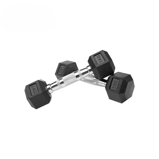Gym Rubber Coated Solid Steel Cast Hex Weights Dumbbells for Muscle Training