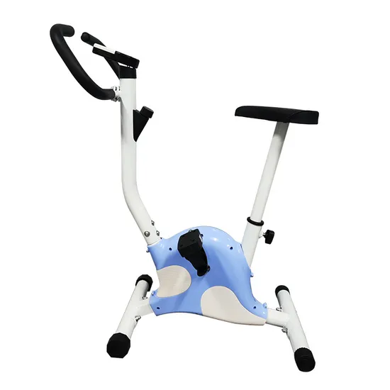Fitness Equipment Cycling Bike Sport Spinning Bike Training Exercise Cycle for Home Gym