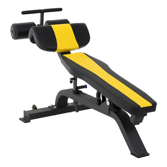Multi-Function Adjustable Home Exercise Gym Equipment Body Ab Exercise Chair Gym Bench