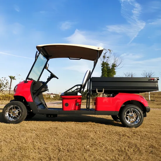 Wholesale 72V/4kw AC System off-Road Fat Tire Mini Small Electric 2-Seater 4X4 UTV Automatic Hydraulic Rod Buggy Golf Utility Cart with Rear Cargo Box