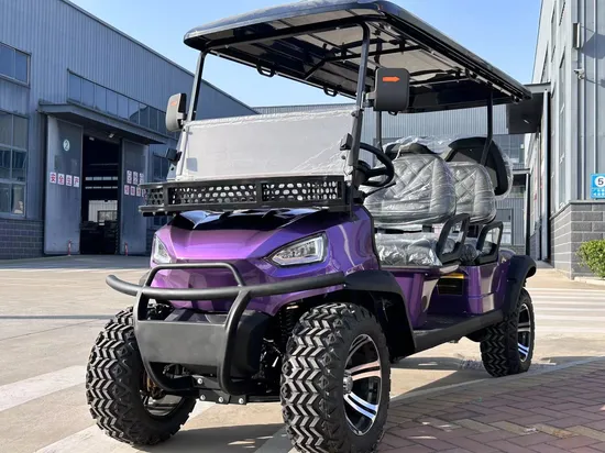 Mini Lifted off Road Street Legal Best Club Car Bus Sport 4 6-Person Lift Tourist Car Golf Buggy Golf Cart Mini Electric Vehicle Sightseeing Bus CE DOT