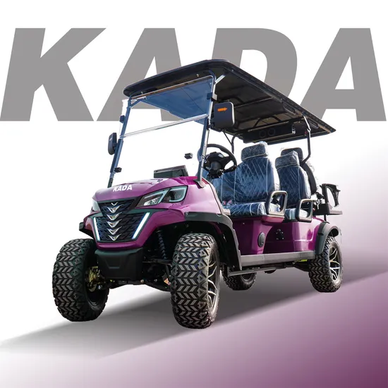 The Factory Offers a Large Number of Golf Carts/Sightseeing Cars/Trams/Hunting Cars /2-8 Seats Can Be Customized