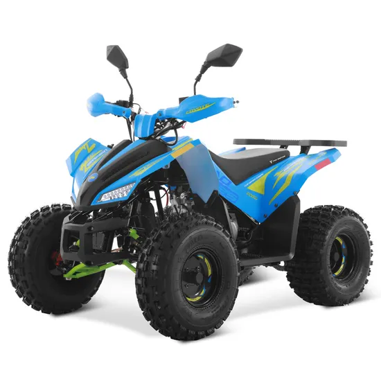 Tao Motor EEC ATV Quad Bike Chain Drive Automatic with Reverse125cc ATV-Quad