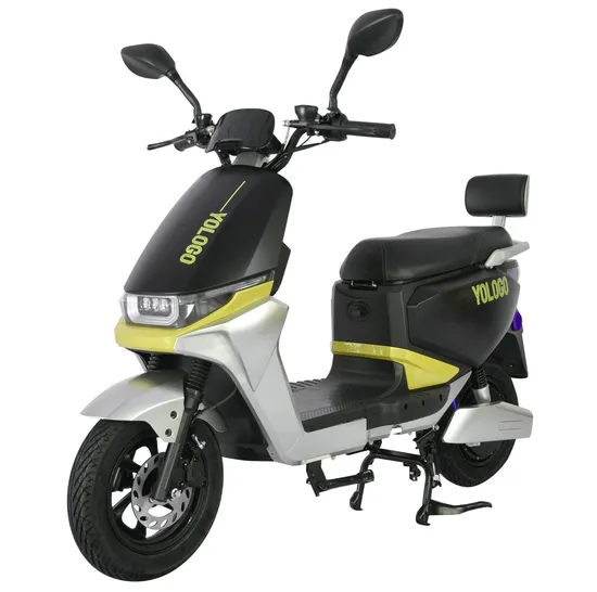 Hot Sell Dispatch Delivery Electric Motorcycle1000W 60V with OEM
