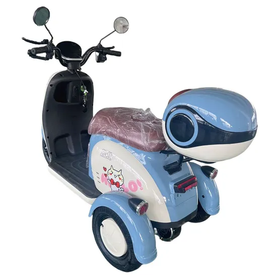 Enclosed Rainproof Motor 1000W 3 Wheel Mini Car Best Electric Scooter Tricycle Electric Rickshaw Tricycle for Passenger Family Use