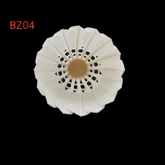 Aeroplane Eg1130 Quality Black Class B Goose Feather Badminton Shuttlecock