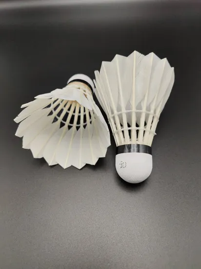Bz-104 Good Durable Duck Feather Badminton Shuttlecock with Cheap Price