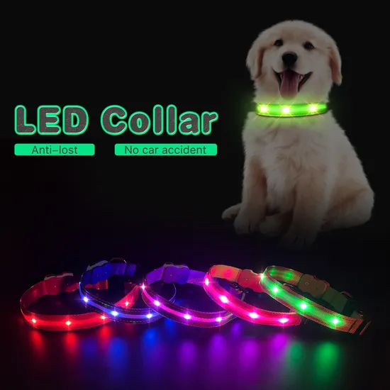2025 Hot Sell Safety USB Rechargeable Collar PARA Perro Night Illuminated Glowing Luminous Light Pet LED Dog Collar