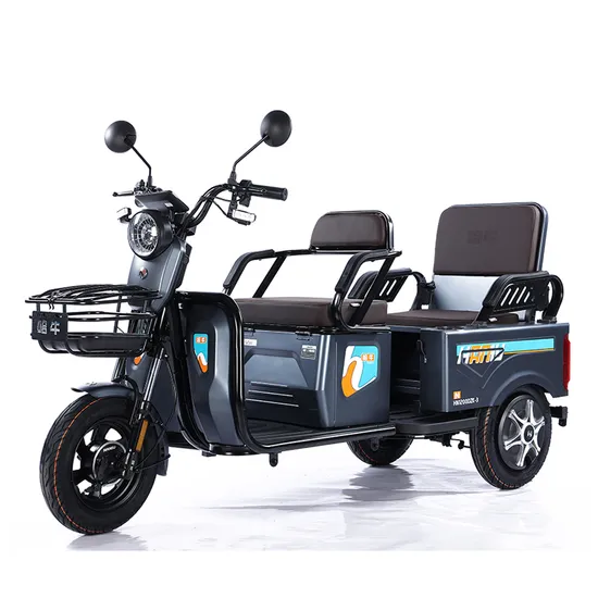 China Leading Manufacturer of Electric Tricycle for Adults Customizable/Bulk Order Factory 3 Wheel Car for Disabled/Hot Sale in Turkiye/ISO 9001: 2015/OEM/ODM