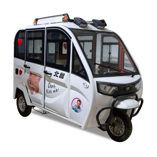 High Quality 3 Passenger Tricycle Mini Electric Car Closed Tricycle Electric Rickshaw for Passenger