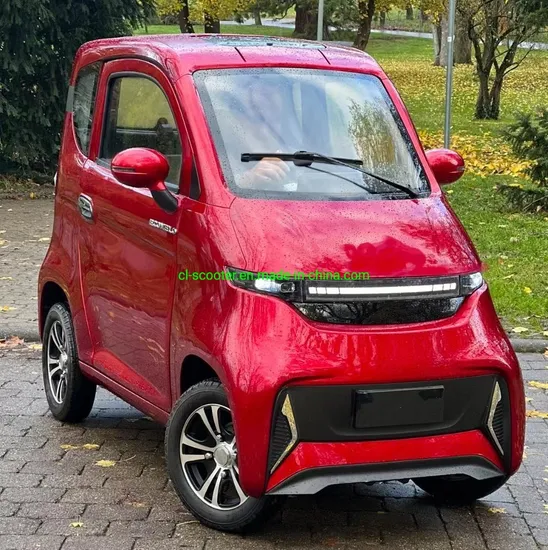 Carbin Scooter for The Adults 1000W Motor, Max Speed at 45km/H EEC Approval