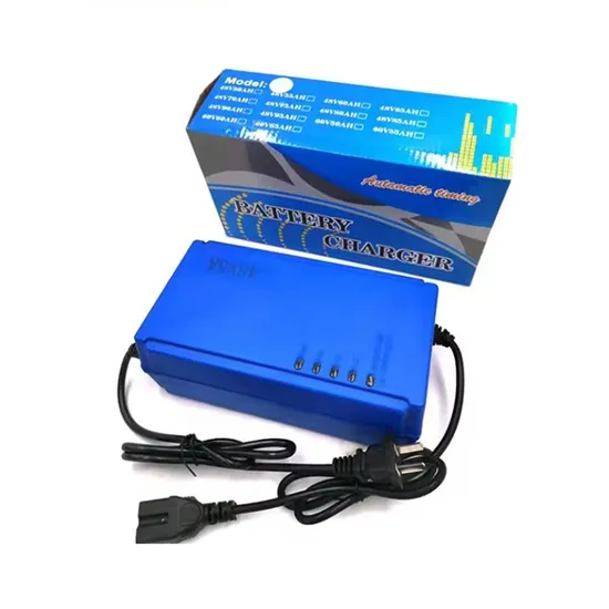 36V -72V Electric Bicycle Scooter Tricycle Lead Acid Battery Charger