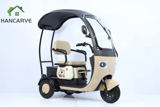 New Comfortable Ride Electric Tricycle with Shed for Elderly and Adults Transporting Children