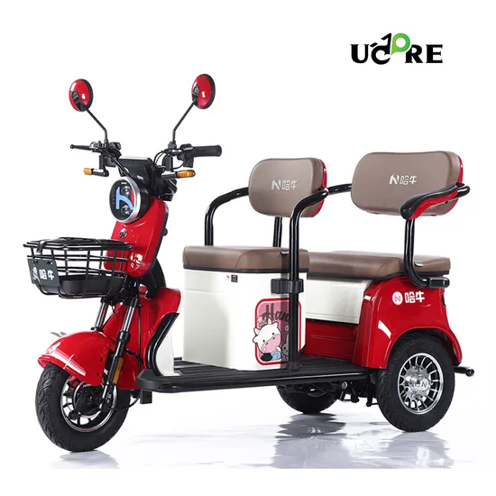 3 Wheel Electric Bike Speed 25-50km/H/Lead Acid Battery/3 Wheel Electric Motorcycle