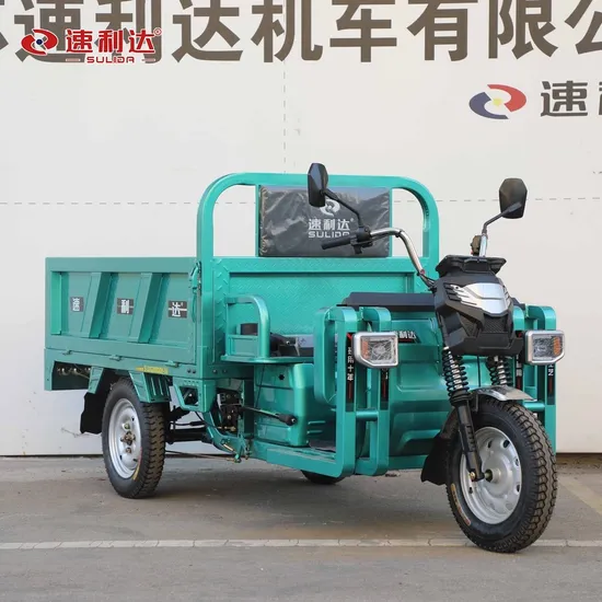 High Quality Tricycle Motor 48V800W Electric Tricycle for Cargo