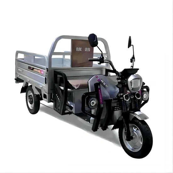 Wholesale 800W/1200W/2000W Rechargeable Electric 3 Wheel Vehicle High Capacity Pickup Electric Cargo Tricycle