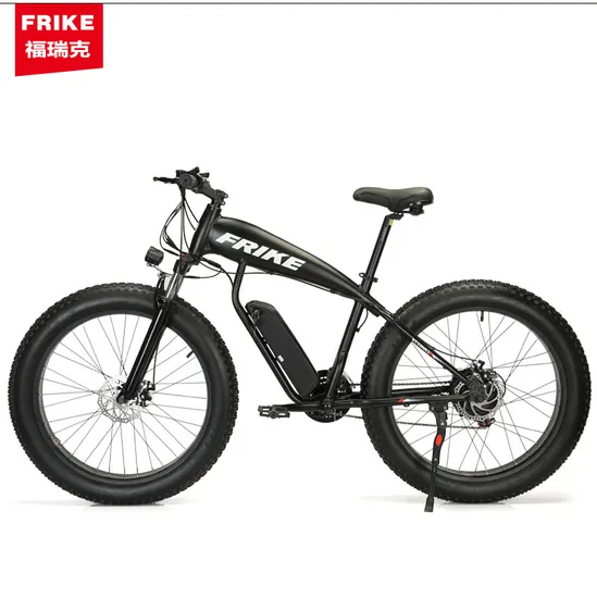 City Electric Bike 500W 1000W for Adult
