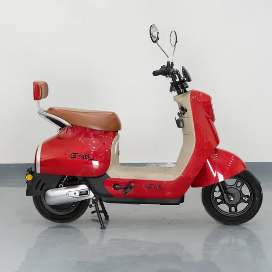 Factory Cheap 450W Price Motorcycle Electric Scooter City Electric Bike