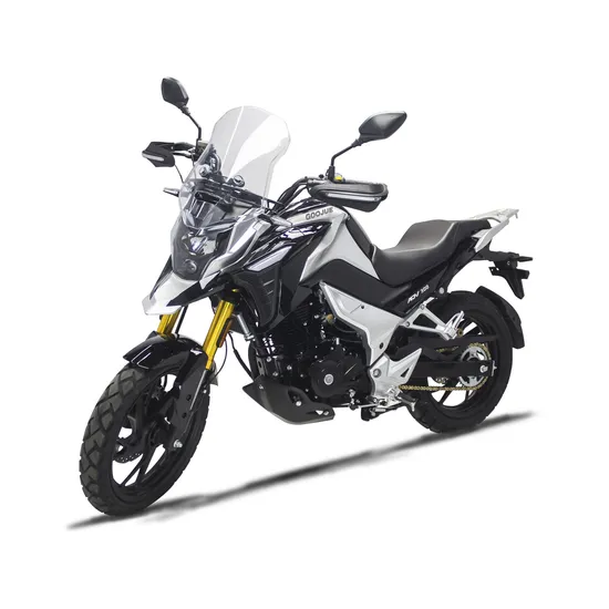Adv 300 Motorcycle 300cc Street Bike 300cc Motor Bike for Sale
