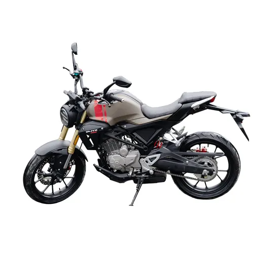 Jianshe Js250r, Naked, Chongqing Factory Manufacturing, Cost-Effective 200cc-300cc Streetbike Motorcycle