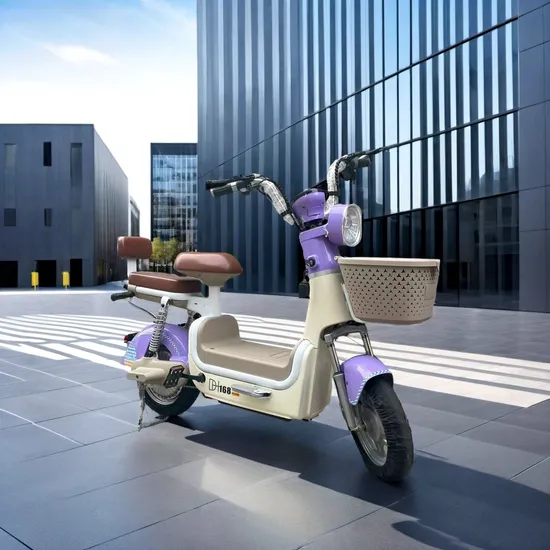 Lightweight Cheaper Electric Bicycle Designed for Urban Transportation Needs Ebike