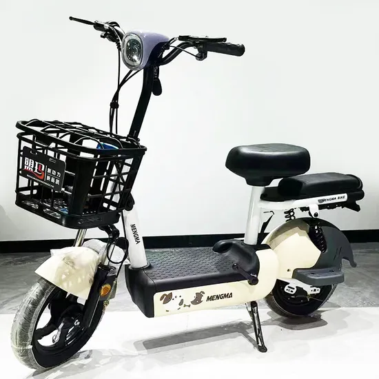 New Style Model Two Seat 48V 12A 20A Electric Bike Electric Bicycle Scooter Bike City Bike Low Price for Sale