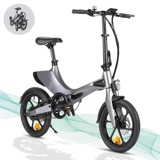 Foldable Ebike 300W Hub Motor Electric Bike Folding Electric City Bicycle