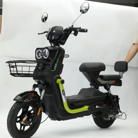 Reliable Xiaomo Wang Electric Bicycle Featuring Lead Acid Power Ebike E-Bike
