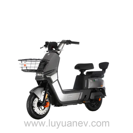 Electric Bike LUYUAN FYY Lead acid/Graphene 2000W/800W  42km/h