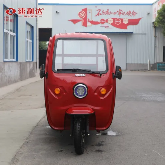 High Quality Motor 60V800W Canopy Electric Cargo Tricycle