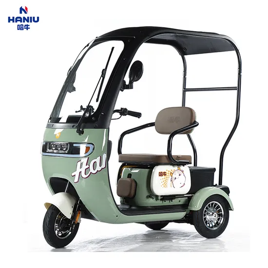 Electric Tricycle E-Trike E-Scooter/Motorcycle 3 Wheels Bicycle N5sp