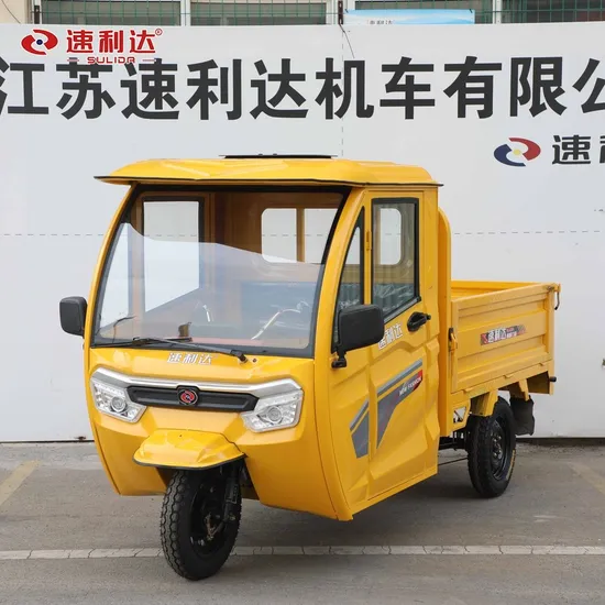 High-Quality Overall Size (3175L*1180W*1640H) 48V800W Adult Electric Cargo Tricycle