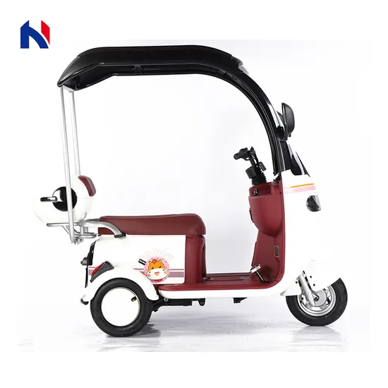 Disabled Car with 3 Wheels Electric Tricycle with Proof