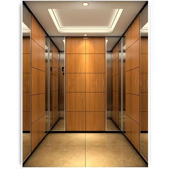 Contemporary Apartment Hotel Office Building Passenger Elevators Stainless Steel AC Elevators