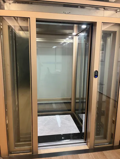 Luxury Villa Home Elevator Multiple Functions for Safe Operation Ideal