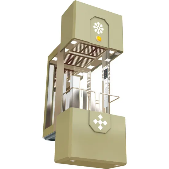 Simple Style Pianted Panoramic Elevator